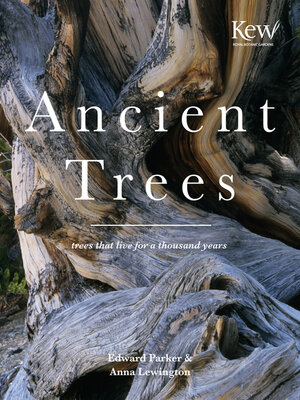cover image of Ancient Trees